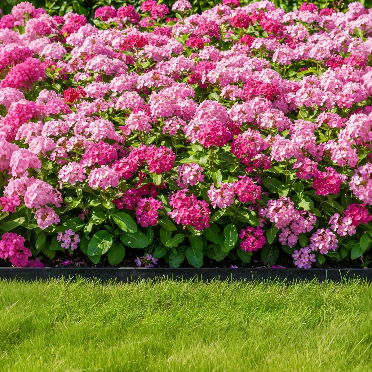 Flexible Plastic Landscape Edging With Stakes For Gardens And Walkways