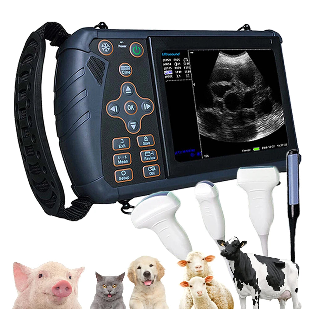 DAWEI Portable Veterinary Ultrasound Scanner for Farm Animal Pregnancy Testing