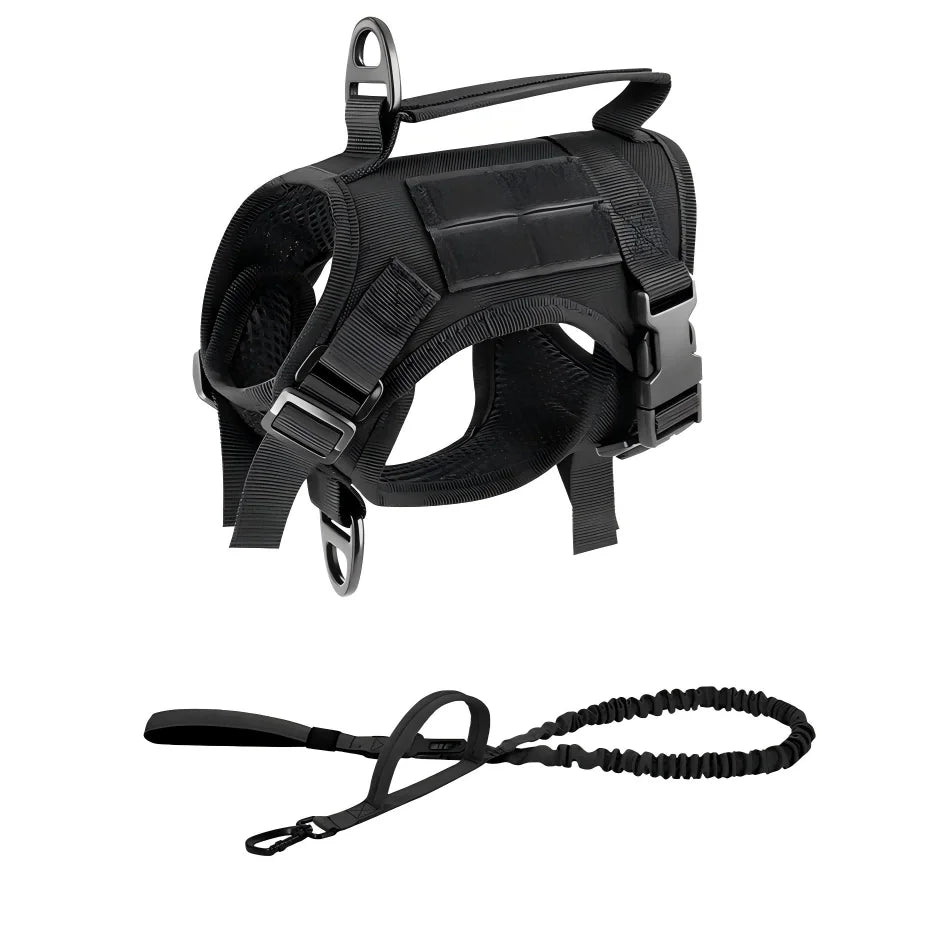 PETRAVEL Adjustable Escape Proof Cat Harness Vest With Leash Set
