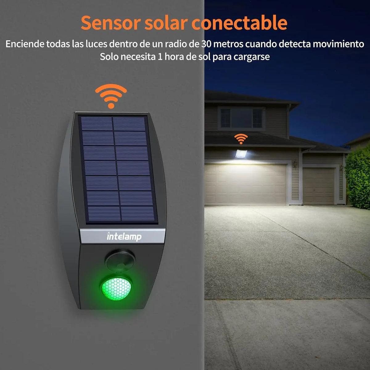 Intelamp Solar LED Flood Security Light With Motion Sensor