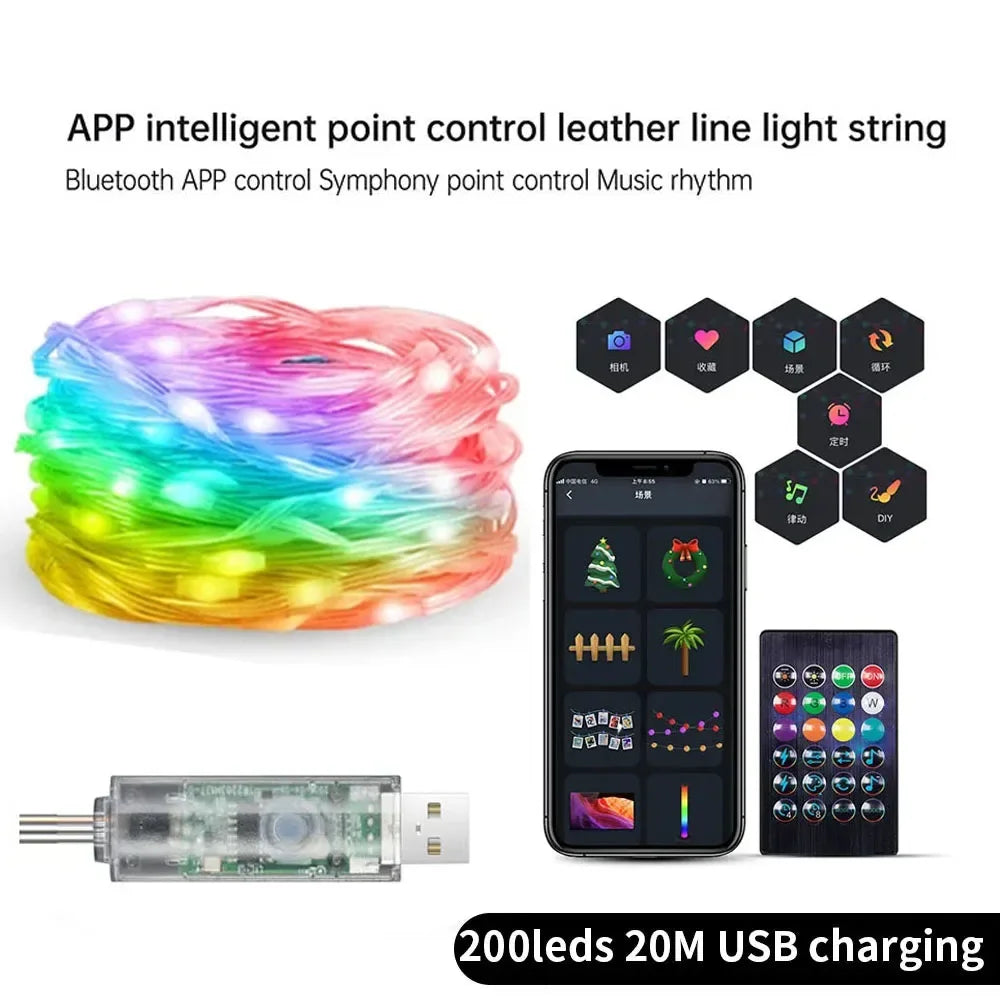 RGB Bluetooth Music Sync LED Fairy Lights for Holiday Decor
