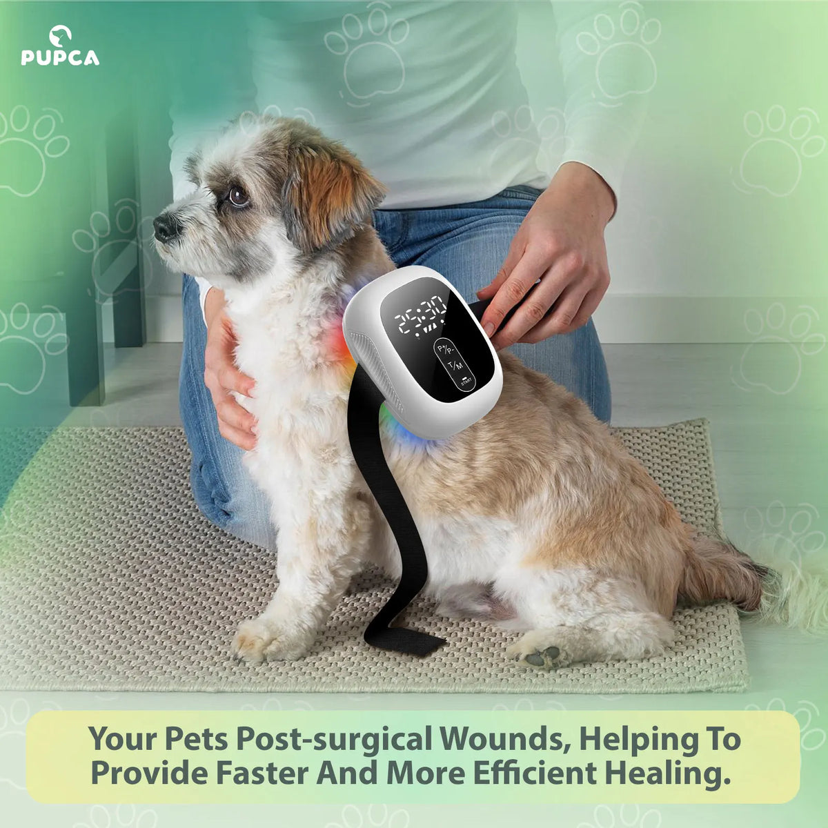 Rechargeable Pet Laser Collar For Arthritis And Joint Pain