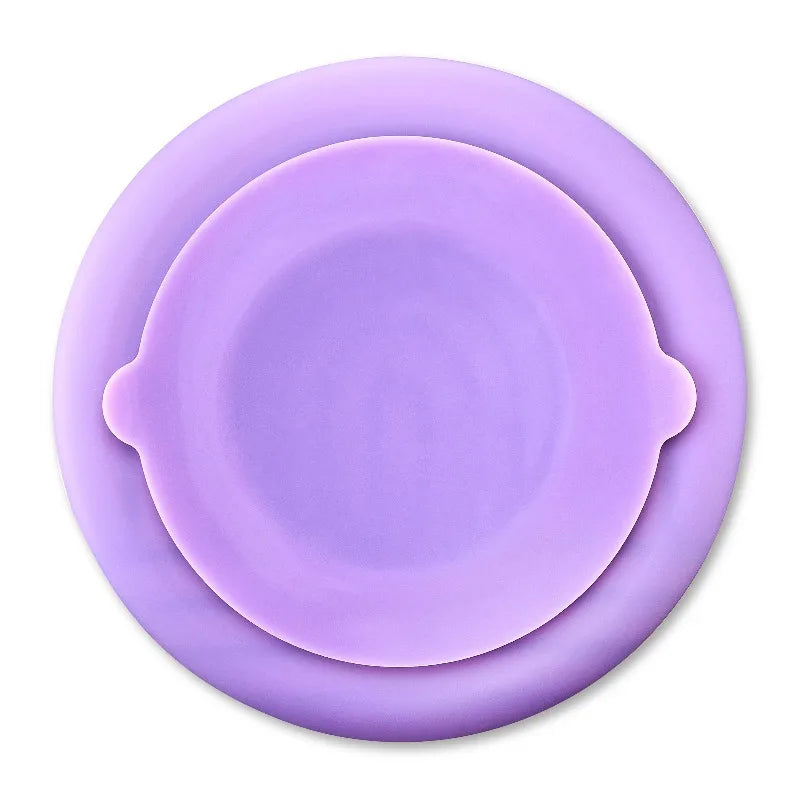 Silicone Slow Feeder Bowl for Pets Promotes Healthy Mealtime