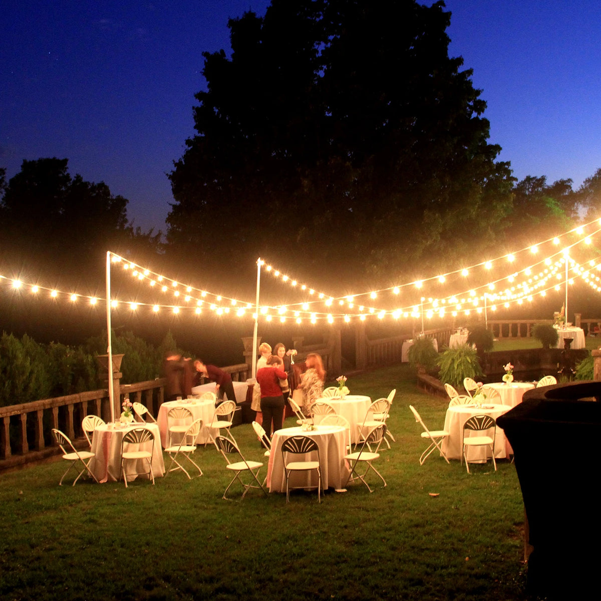 LED Globe String Lights With Replaceable E12 Bulbs Hanging Hooks