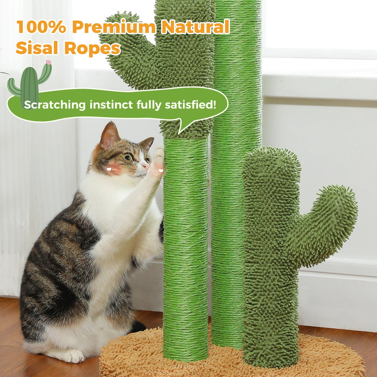 PAWZ Road Cactus Sisal Cat Scratching Post With Interactive Toy