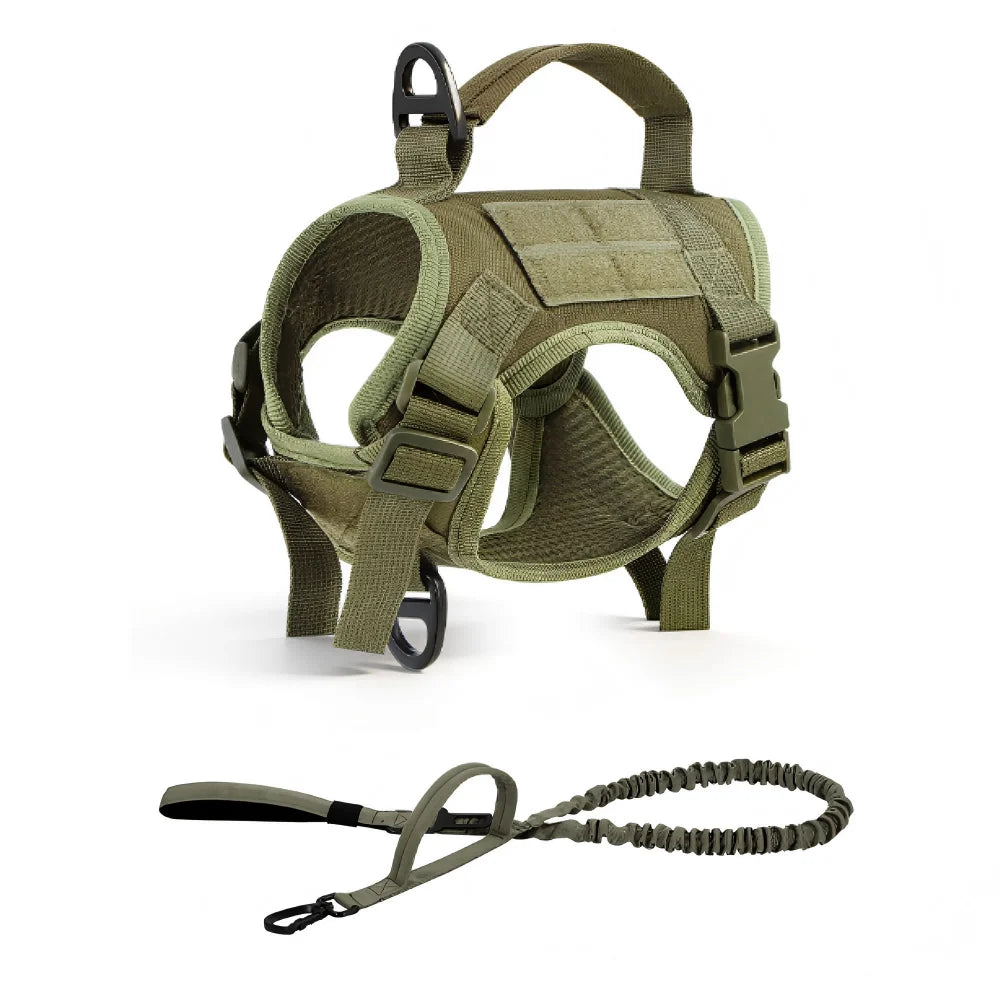 PETRAVEL Adjustable Escape Proof Cat Harness Vest With Leash Set