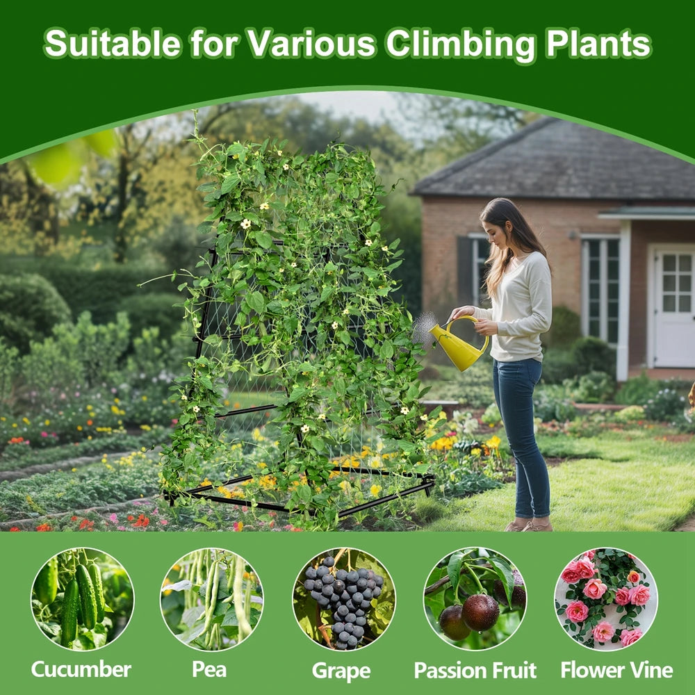 Wisfor Metal Garden Trellis Arch With Climbing Plant Netting Support