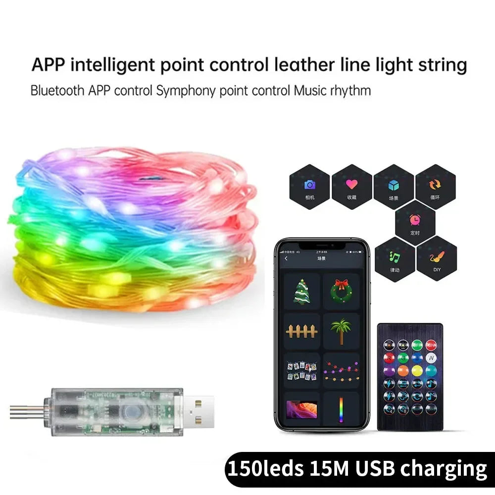 RGB Bluetooth Music Sync LED Fairy Lights for Holiday Decor