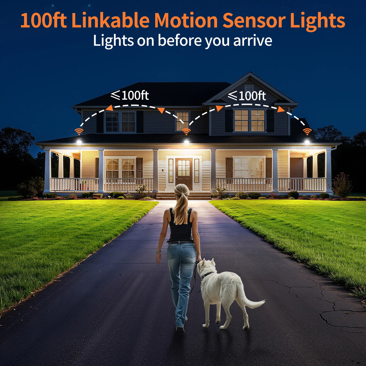 Intelamp Solar Street Light Dual Motion Sensor Outdoor Security Flood