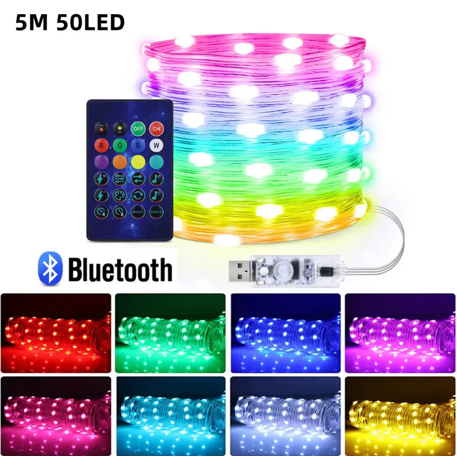 RGB Bluetooth Music Sync LED Fairy Lights for Holiday Decor