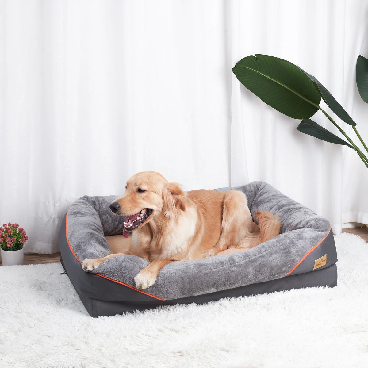 BINGOPAW Washable Waterproof Foam Dog Bed With Removable Cover