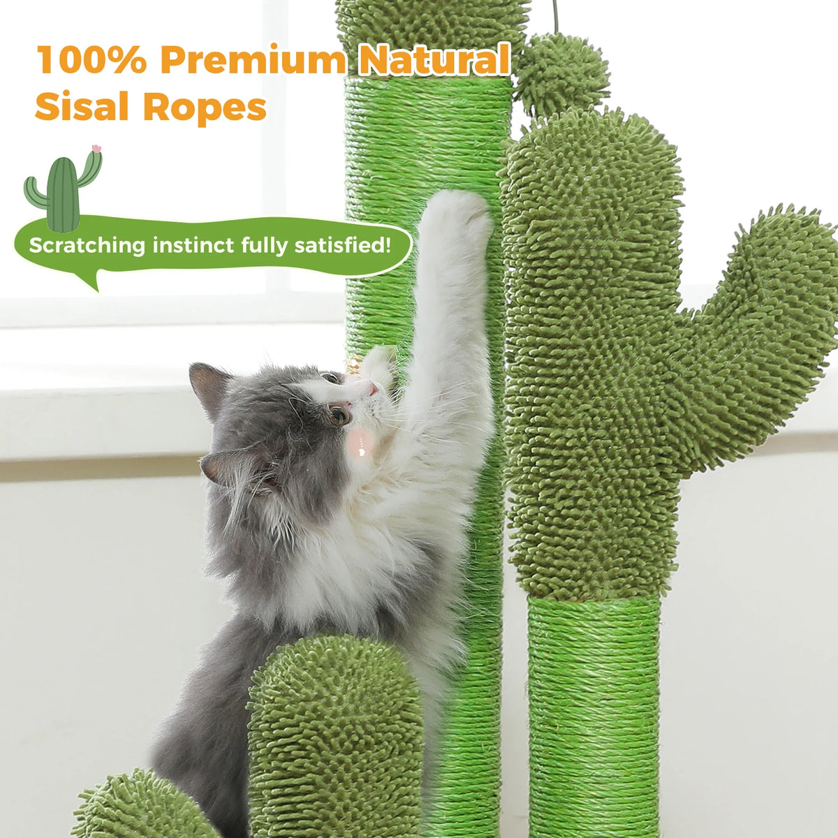 PAWZ Road Cactus Sisal Cat Scratching Post With Interactive Toy