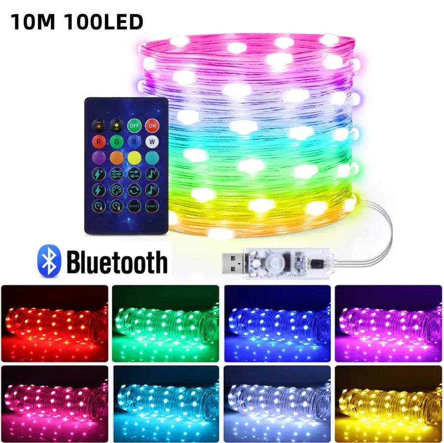 RGB Bluetooth Music Sync LED Fairy Lights for Holiday Decor